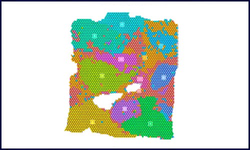 空間轉(zhuǎn)錄組 |Space Ranger 的使用