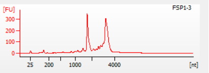 伯豪生物單細(xì)胞核轉(zhuǎn)錄組測(cè)序數(shù)據(jù)圖 4