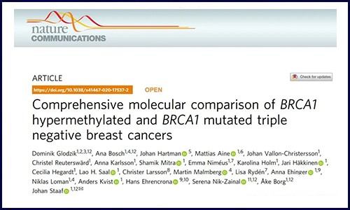DNA 甲基化專題 | 乳腺癌中的 DNA 甲基化標(biāo)志物研究