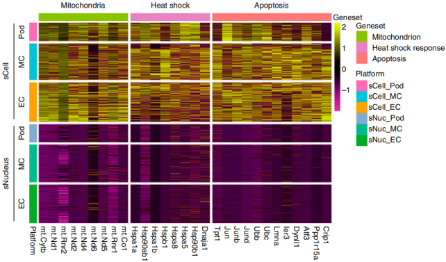 伯豪生物單細(xì)胞核轉(zhuǎn)錄組測(cè)序數(shù)據(jù)圖 9