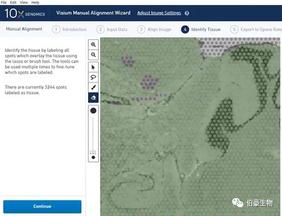 單細(xì)胞測序空間轉(zhuǎn)錄組分析軟件安裝圖示 11