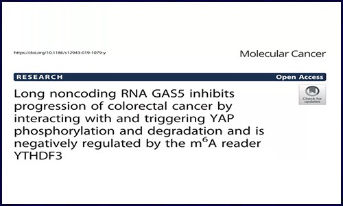 胃腸道腫瘤│各種類型樣本 RNA m6A 修飾研究攻略