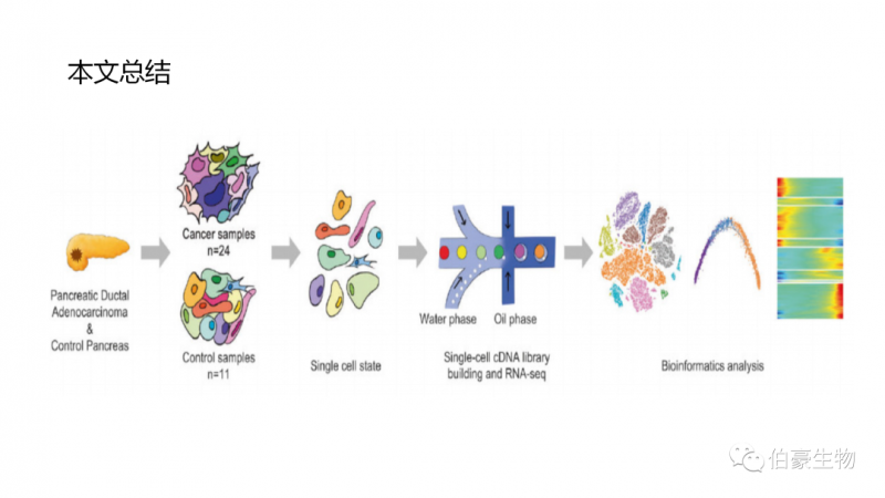伯豪生物單細(xì)胞測序客戶發(fā)文 5