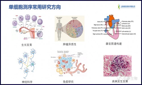 單細(xì)胞測(cè)序的熱點(diǎn)及案例解讀
