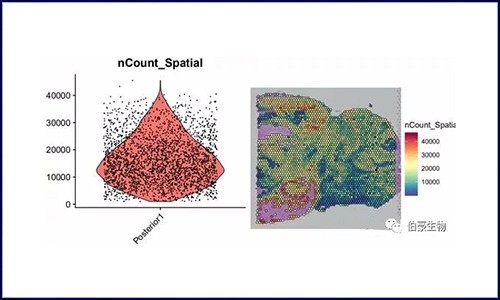 空間轉(zhuǎn)錄組 | 數(shù)據(jù)預(yù)處理、降維、聚類（seurat）