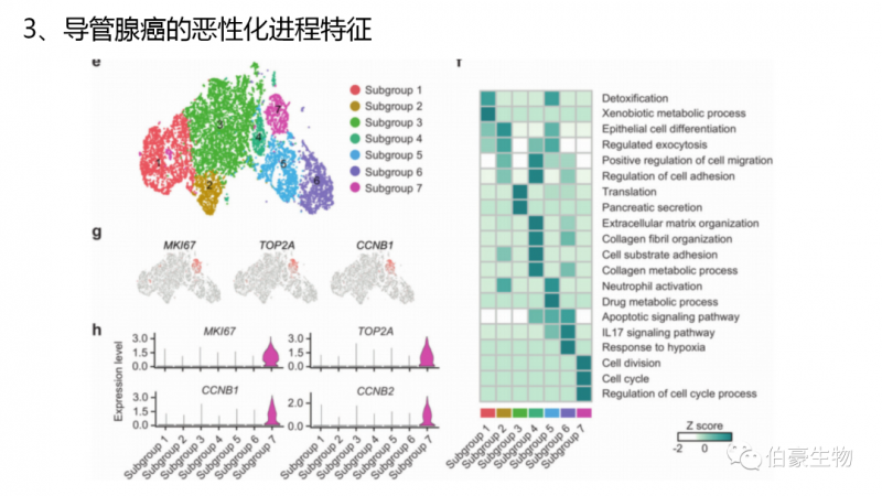 伯豪生物單細(xì)胞測序客戶發(fā)文