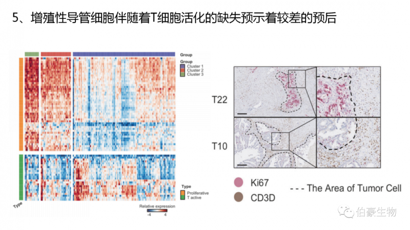 伯豪生物單細(xì)胞測序客戶發(fā)文 4