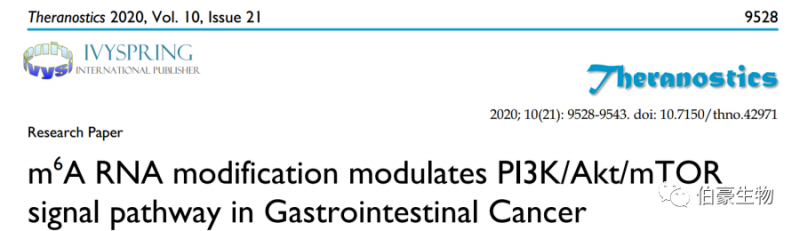 RNA m6a 甲基化測序 伯豪生物甲基化服務(wù)客戶發(fā)文 1