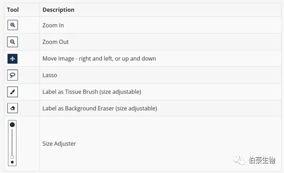 單細(xì)胞測序空間轉(zhuǎn)錄組分析軟件安裝圖示 9