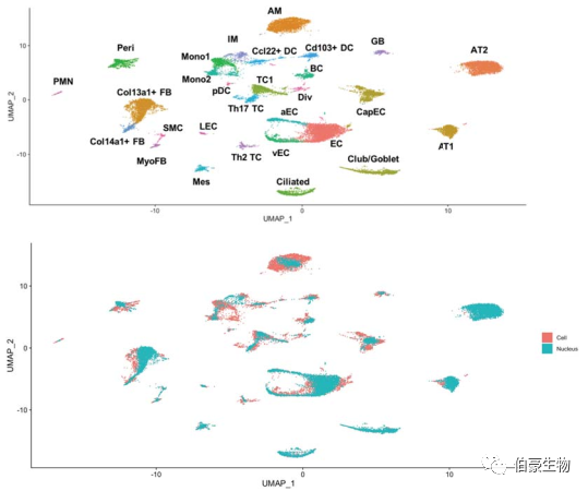 單細(xì)胞核測(cè)序 scRNA-seq 圖 3