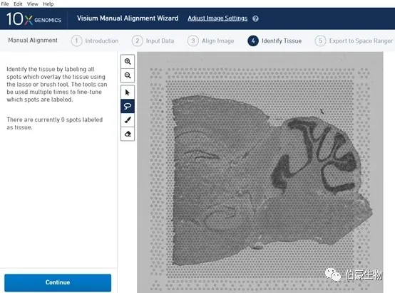 單細(xì)胞測序空間轉(zhuǎn)錄組分析軟件安裝圖示 8