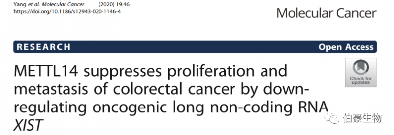 m6a 甲基化測序 RNA 甲基化服務(wù) 伯豪生物客戶發(fā)文