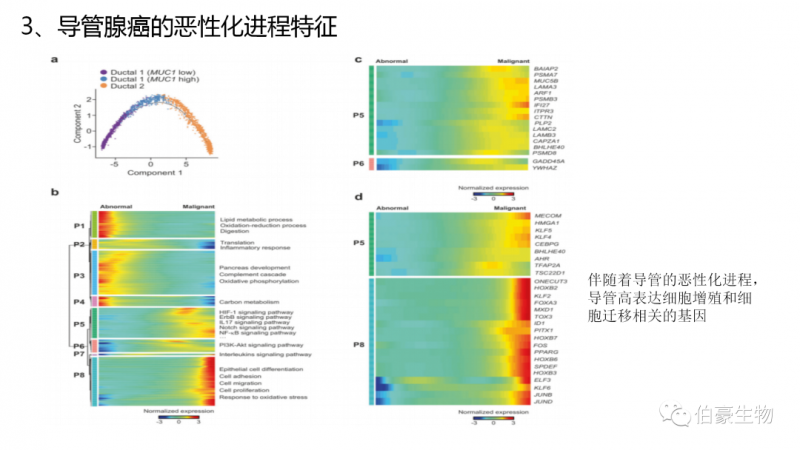 上海伯豪生物單細(xì)胞測序服務(wù)客戶文章