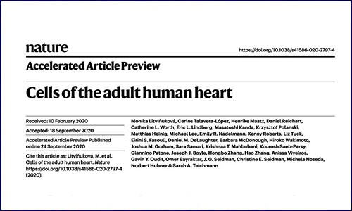 人類細(xì)胞圖譜計劃 | 心臟細(xì)胞圖譜數(shù)據(jù)公布！