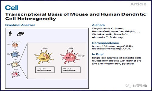 雙劍合璧 |scRNA-seq 與 bulk RNA-seq 聯(lián)合分析