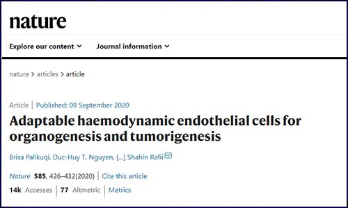 文獻(xiàn)錦集 | 9 月單細(xì)胞測序高分文獻(xiàn)匯總