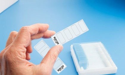 微陣列芯片平臺