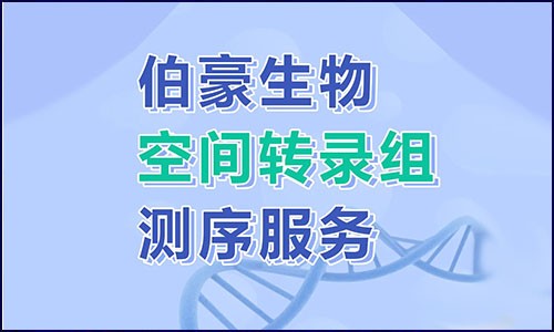 探索基因表達(dá)的空間信息 | 空間轉(zhuǎn)錄組測序服務(wù)你 Pick 了嗎？