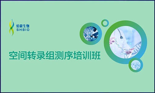 開班啦 | 伯豪生物空間轉(zhuǎn)錄組測序培訓(xùn)班