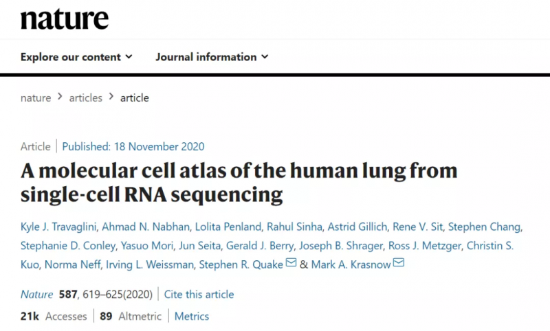 利用單細胞 RNA-seq 技術創造了全肺圖譜 