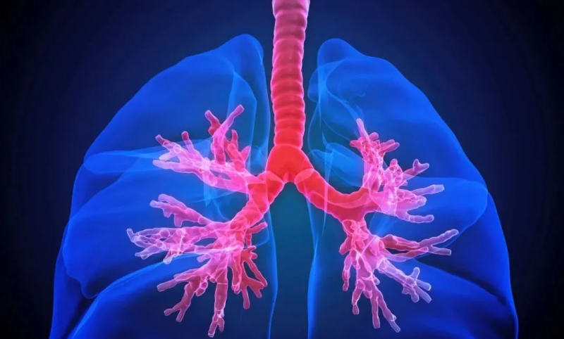 單細胞 RNA-seq 技術應用于器官基因表達譜繪制