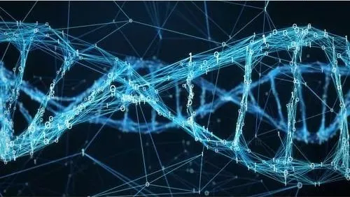 伯豪生物單細胞測序技術服務