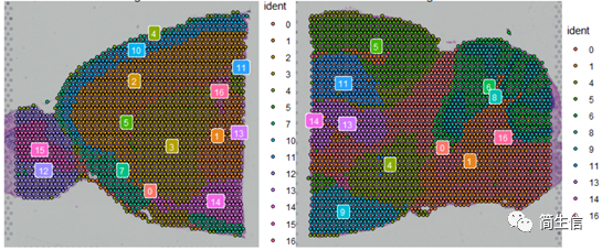 展示亞群的分布