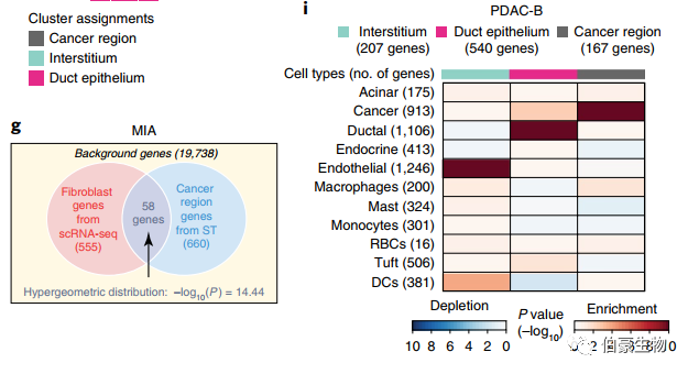 整合單細胞 RNA 測序和空間轉錄組測序數據