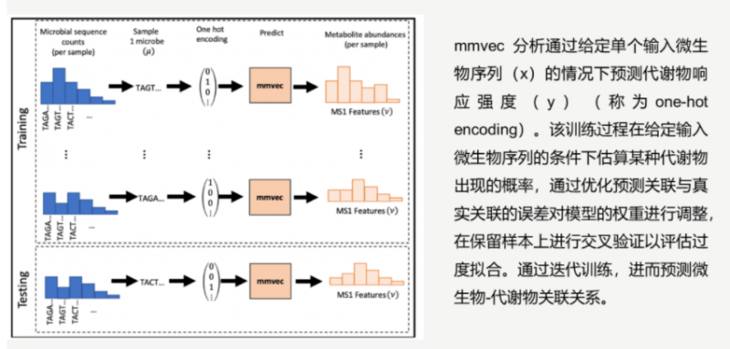 mmvec 分析原理示意圖 