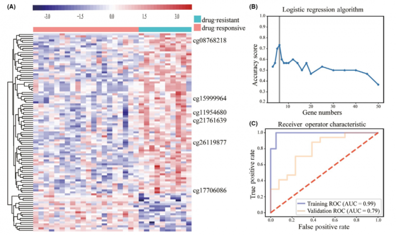  甲基化標志物研究結果 3