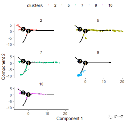 按亞群分開展示