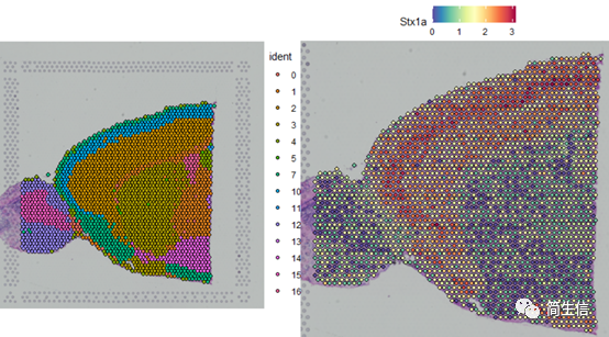 單獨繪制某個樣本圖