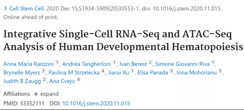  伯豪生物單細胞測序技術服務 
