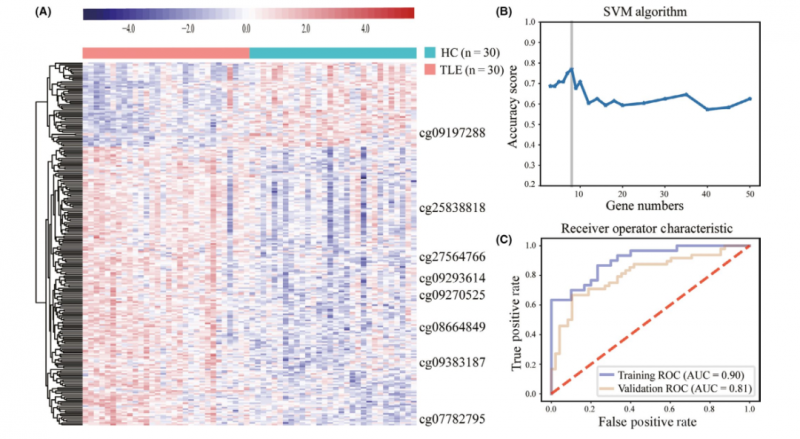  甲基化標志物研究結果 2