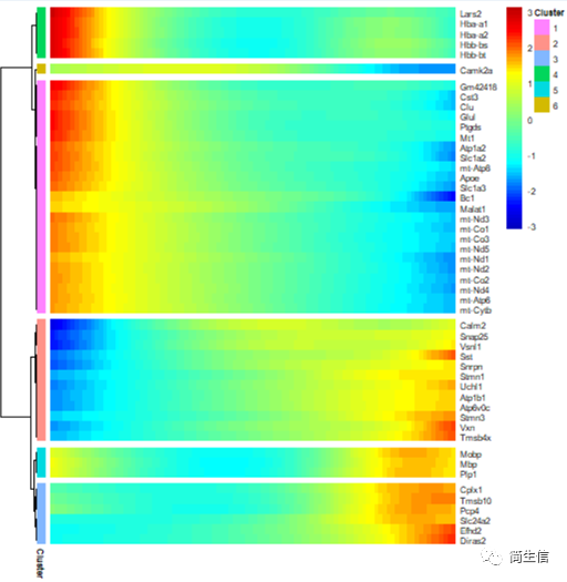選擇 top50 基因繪圖