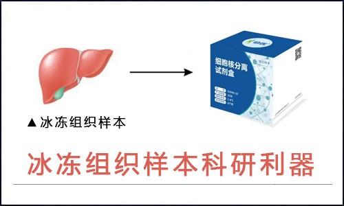 師兄又發文章了，我看著手里的冰凍組織很著急！