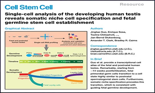文獻錦集 | 1 月份單細胞測序高分文獻匯總