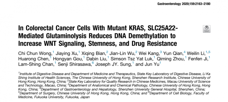直腸癌細胞 DNA 甲基化研究