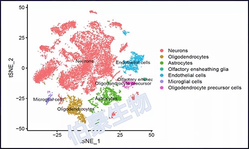 單細胞核測序 | 干貨測數據大放送！