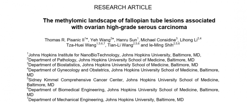 卵巢癌前體病變的 DNA 甲基化研究