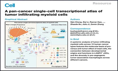 文獻錦集 | 2021 年 2 月單細胞測序高分文獻匯總