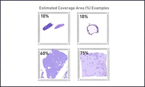 空間轉錄組測序 | 實驗踩坑心得