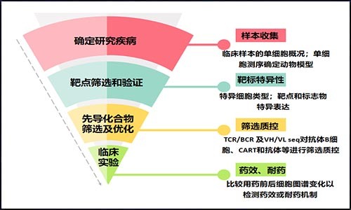 藥物研發 | 單細胞測序在藥物研發中的應用