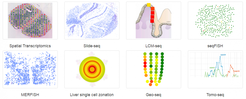 常見(jiàn)空間轉(zhuǎn)錄組技術(shù)