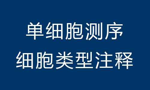 單細胞測序 | 細胞類型注釋