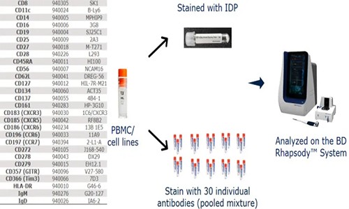 伯豪生物 AbSeq Panel 助力單細胞多組學研究