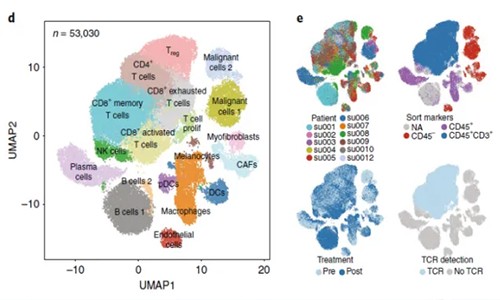 免疫治療 | 單細胞測序技術加速藥物研發！