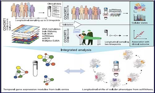 多組學分析 |COVID-19 患者巨核細胞、紅細胞以及漿母細胞特征！