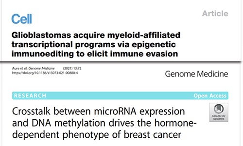 文獻集錦│2021 年 04 月 DNA 甲基化新鮮速遞