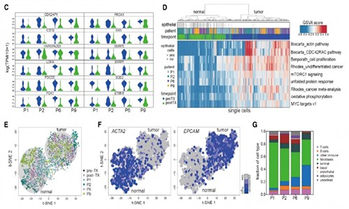單細胞測序加速藥物研發 | 協同治療